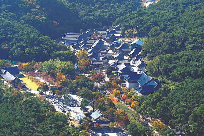 UNESCO Tongdosa Temple + Gourmet Eonyang Style Bulgogi Lunch - Who should book this tour, and who might skip it