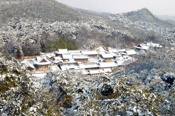 UNESCO Tongdosa Temple + Gourmet Eonyang Style Bulgogi Lunch - My decision guide: should you book it?