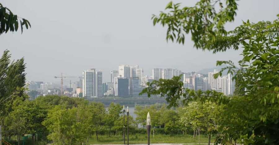 Unique Native Experience : Han River Picnic, Board game, BBQ - Why This Han River Picnic + Yutnori Feels More Local Than Standard Sightseeing