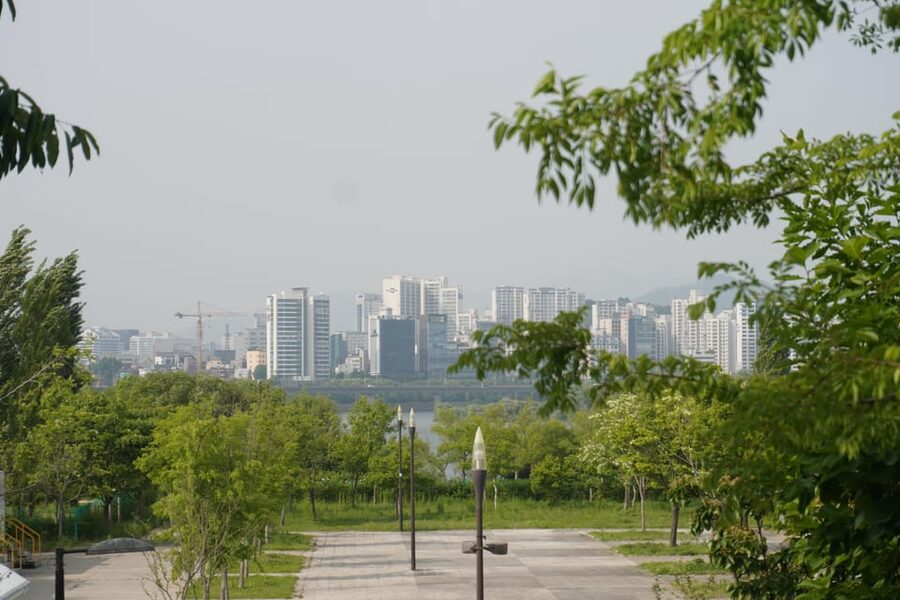 Unique Native Experience : Han River Picnic, Board game, BBQ - The Host Factor: Why Soona’s Teaching Style Changes Everything
