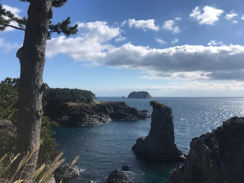 West of Jeju island Bus Tour from Seogwipo city, Jeju island - Dolphin spotting on the southwest drive: how to manage expectations