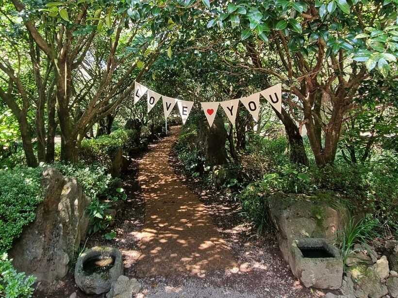 West & South Jeju: Hallasan Trail, Waterfall, Tea Field Tour - O’sulloc Tea Museum: Your Calm Reset in the Middle of the Action