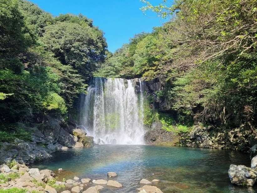 West & South Jeju: Hallasan Trail, Waterfall, Tea Field Tour - Price and Value: What $51 Gets You in Real Life