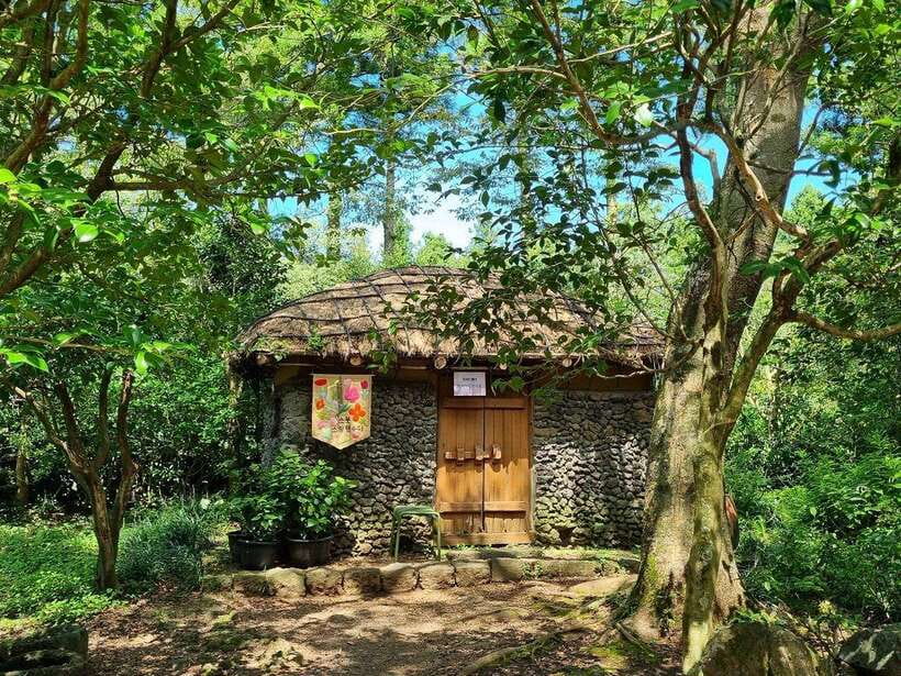 West & South Jeju: Hallasan Trail, Waterfall, Tea Field Tour - Cheonjeyeon Waterfalls: Three Tiers, Subtropical Forest, and Bridge Views