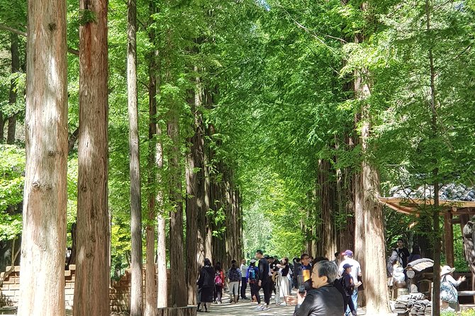 Winter Sonata TV Tour on Nami Island from Seoul - Getting From Seoul: The 7:30am Pickup and Real Road Time