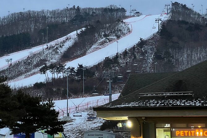 Yongpyong Ski Resort from Seoul with Optional Lesson and Packages - Key highlights worth planning around